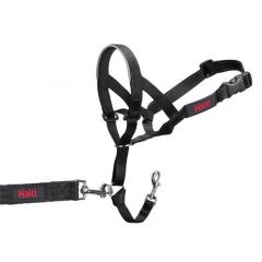 Company of Animals Halti Dog Headcollar Size 2