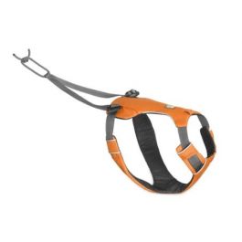 Dog joring harness 2025