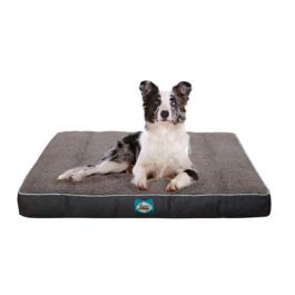 sealy_cushy_comfy_dog_bed_-