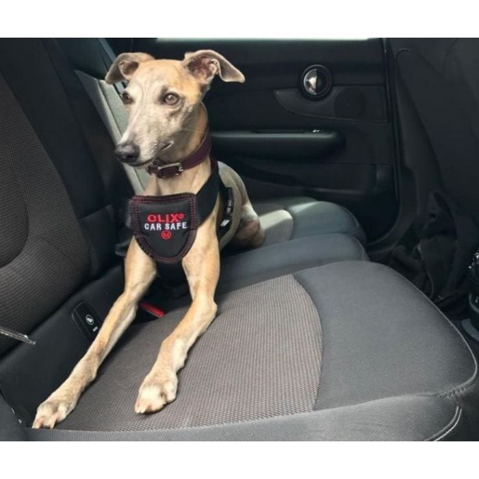 Company of Animals Clix CarSafe Dog Harness Small