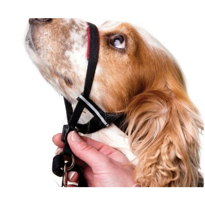 Optifit headcollar sales