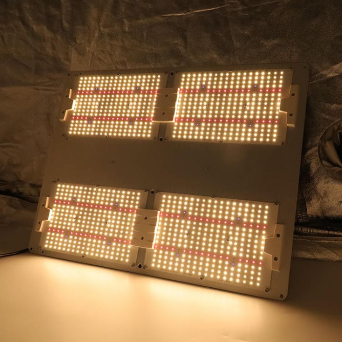 LM301H 植物育成LED 480W MeanWell XLG240 パネル4 Kingbrite Quantum Board LED/UV Grow Light - 480W, Lm301H, 3500K