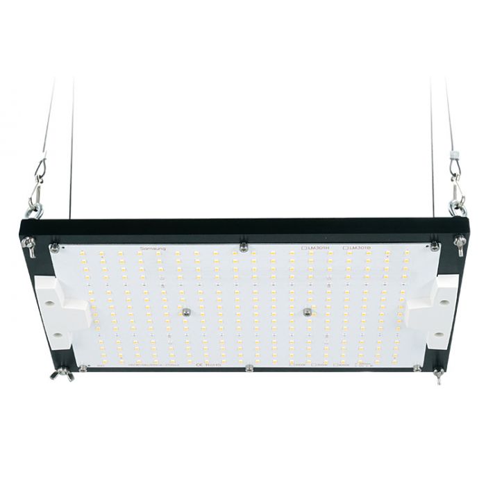 Quantum board led grow light deals