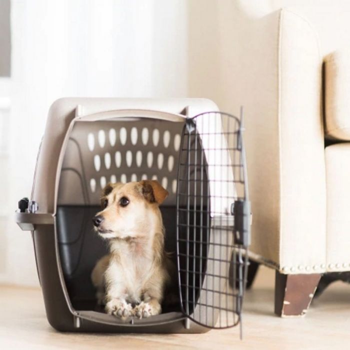 Petmate 2 door 2025