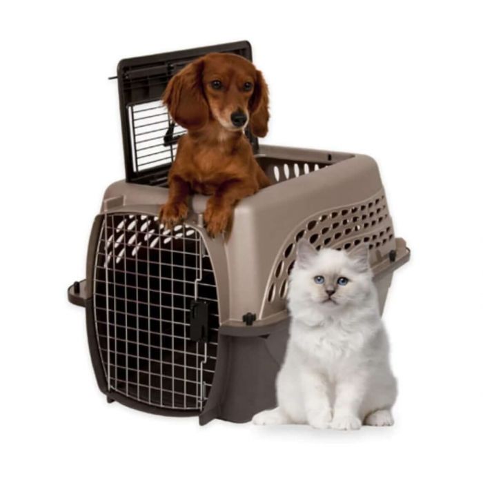 Petmate 2 door kennel hot sale