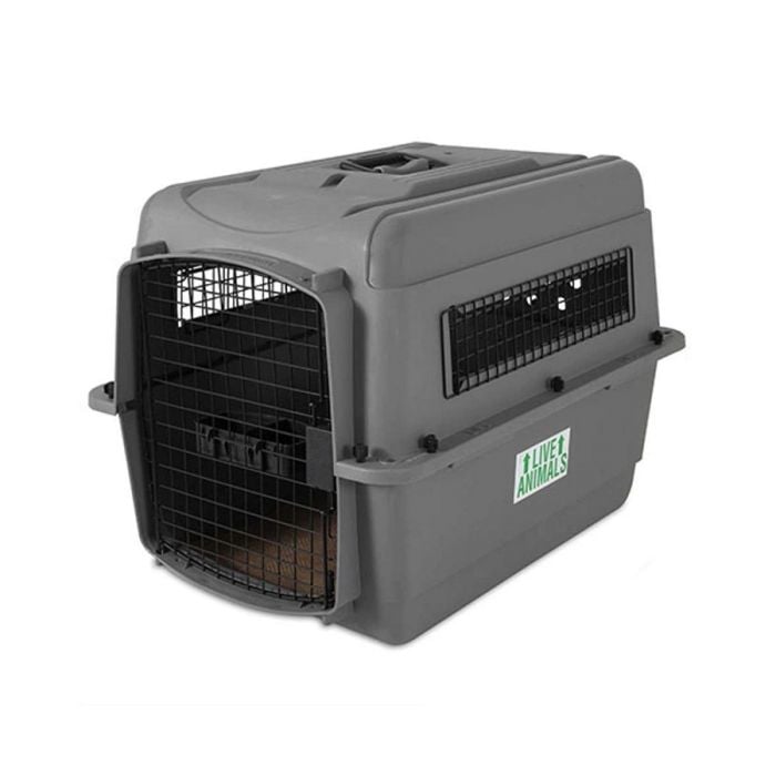 Petmate 48 giant plastic kennel clearance