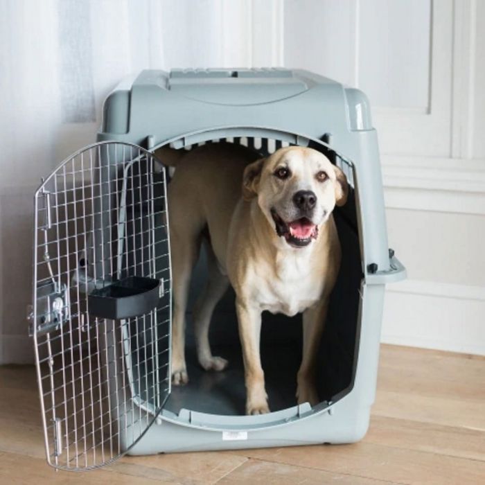 Petmate intermediate kennel shop