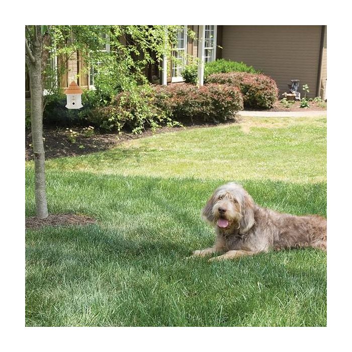 Petsafe Deluxe Outdoor Bark Deterrent