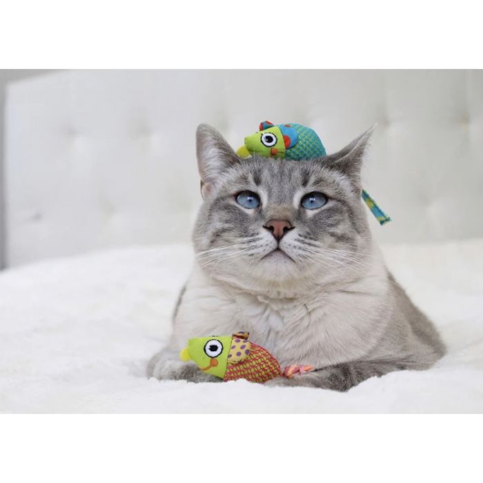 Petstages catnip chew mice online
