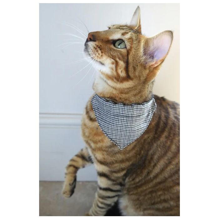 Rosewood Designer Dogtooth Bandana Cat Collar Grey
