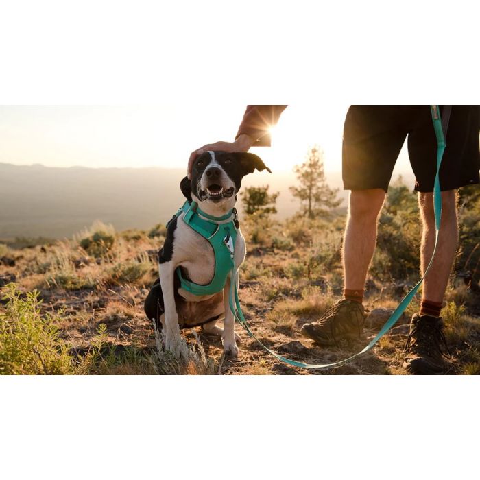 Ruffwear Front Range Dog Harness XX Small Tumalo Teal