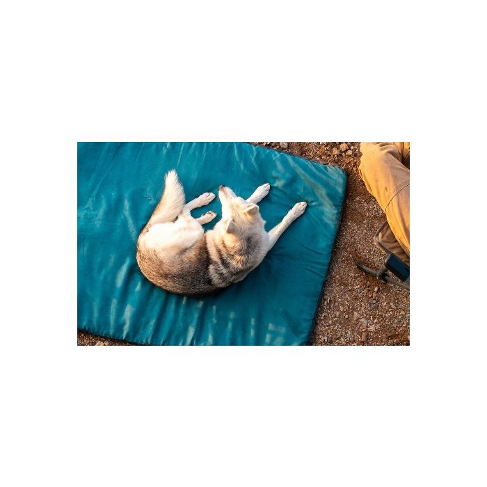 Ruffwear Mt. Bachelor Pad Portable Dog Bed Medium Tumalo Teal