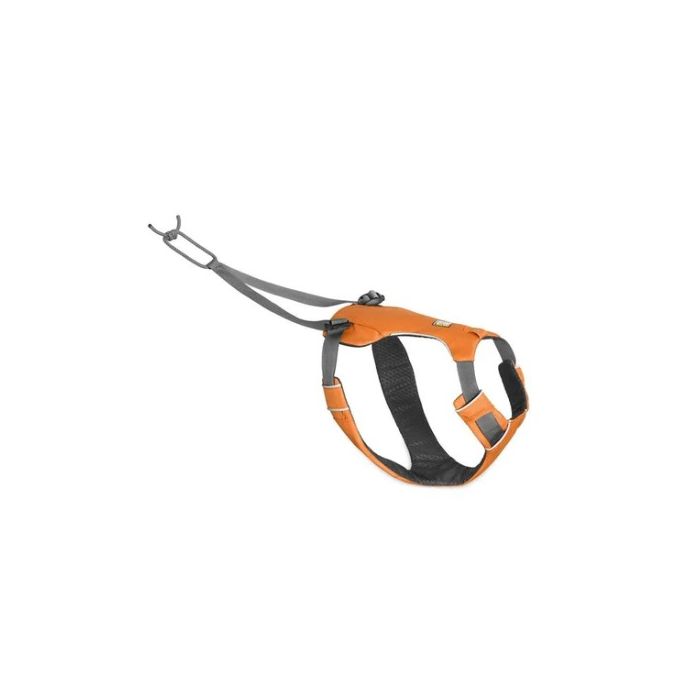 Dog joring harness on sale
