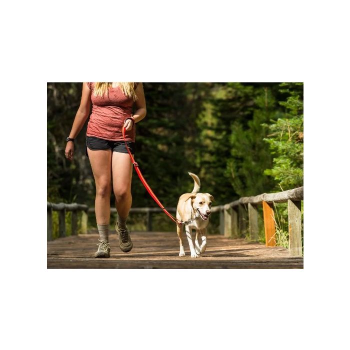 Ruffwear Slackline Reflective Dog Leash Kokanee Red