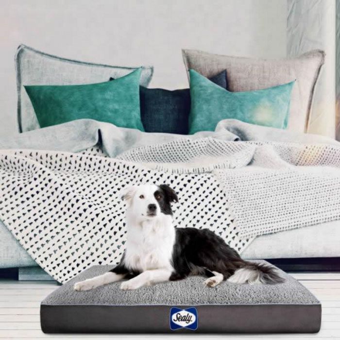 Sealy Cushy Comfy Dog Bed - X Large, Grey