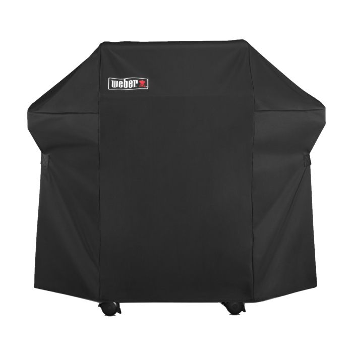 2 burner weber grill outlet
