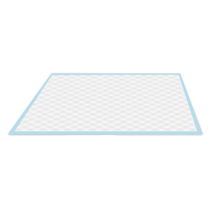 Wee Wee Superior Performance Dog Training Pads 100 Pack 22 x 23